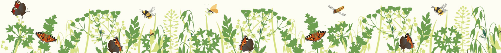 Insects amongst grass